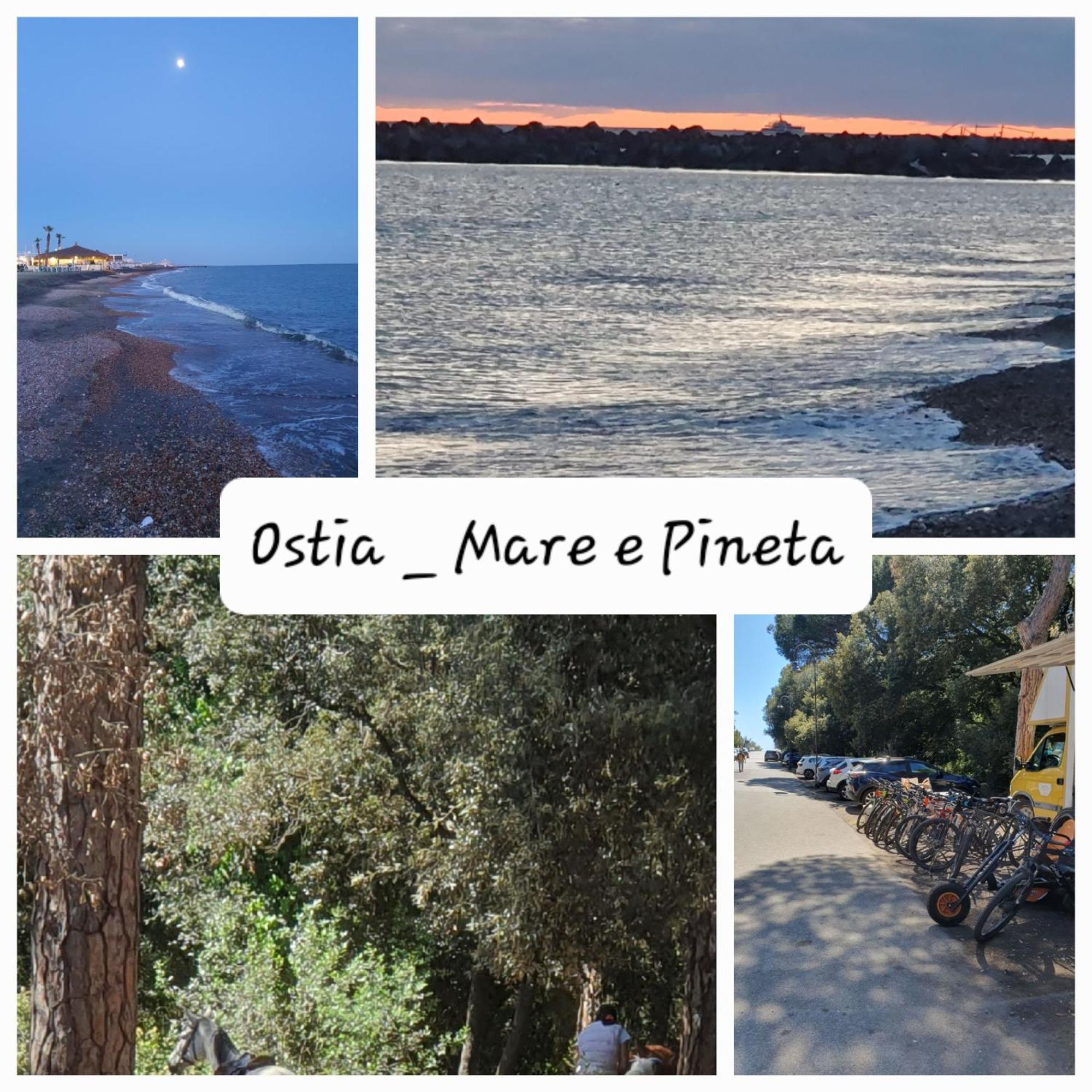 Apartament Casa Diana Ostia Zewnętrze zdjęcie