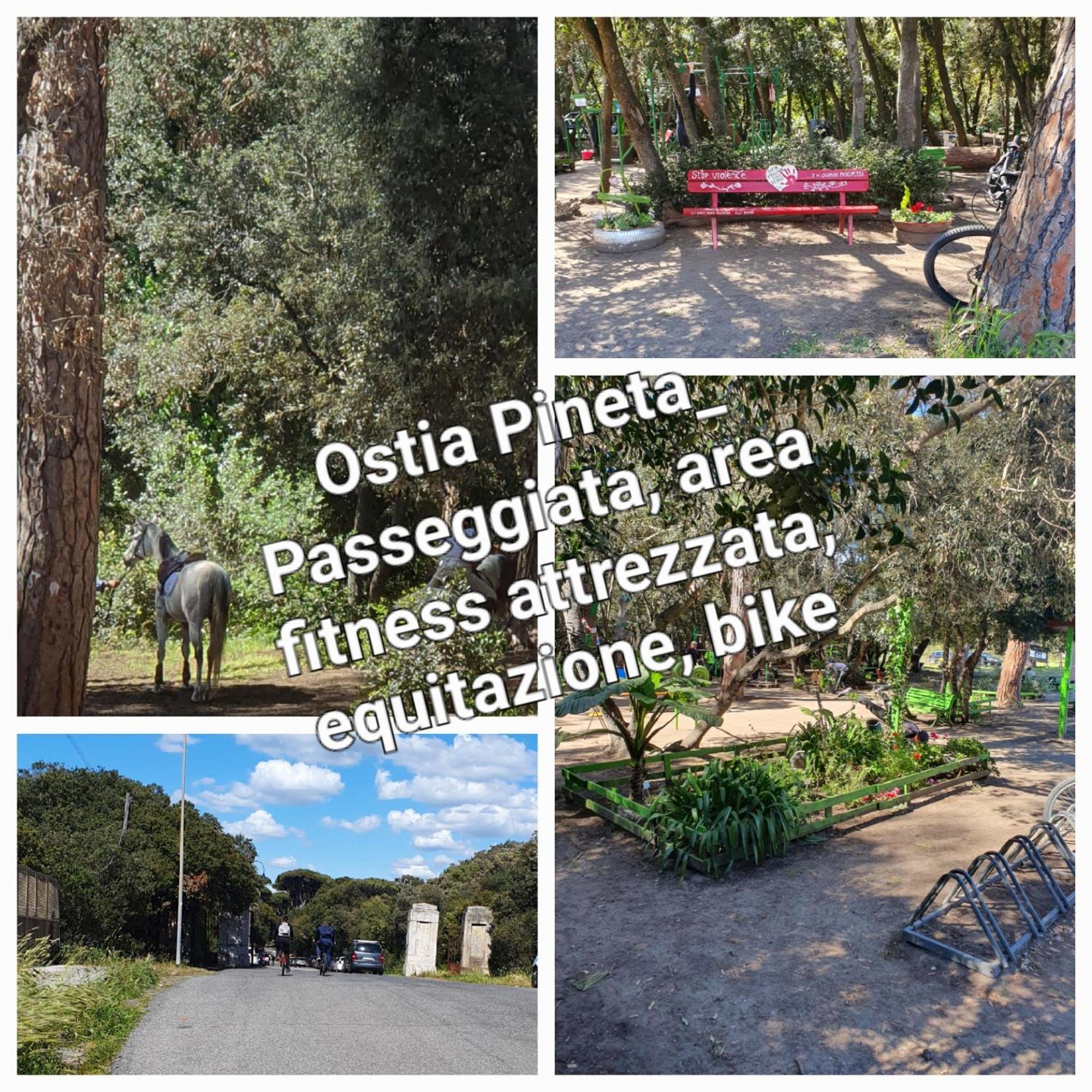 Apartament Casa Diana Ostia Zewnętrze zdjęcie